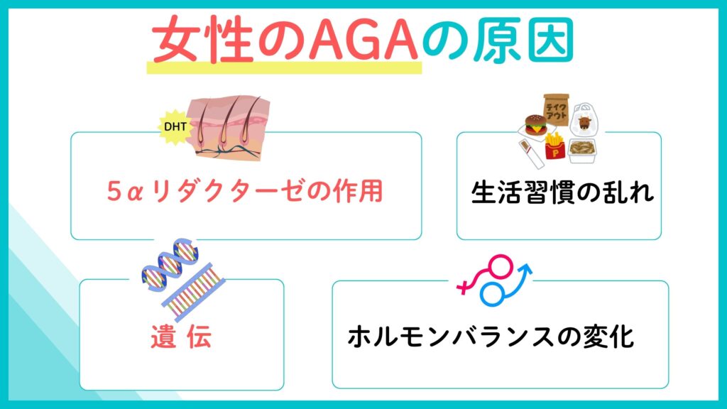 女性のAGA(FAGA)の原因