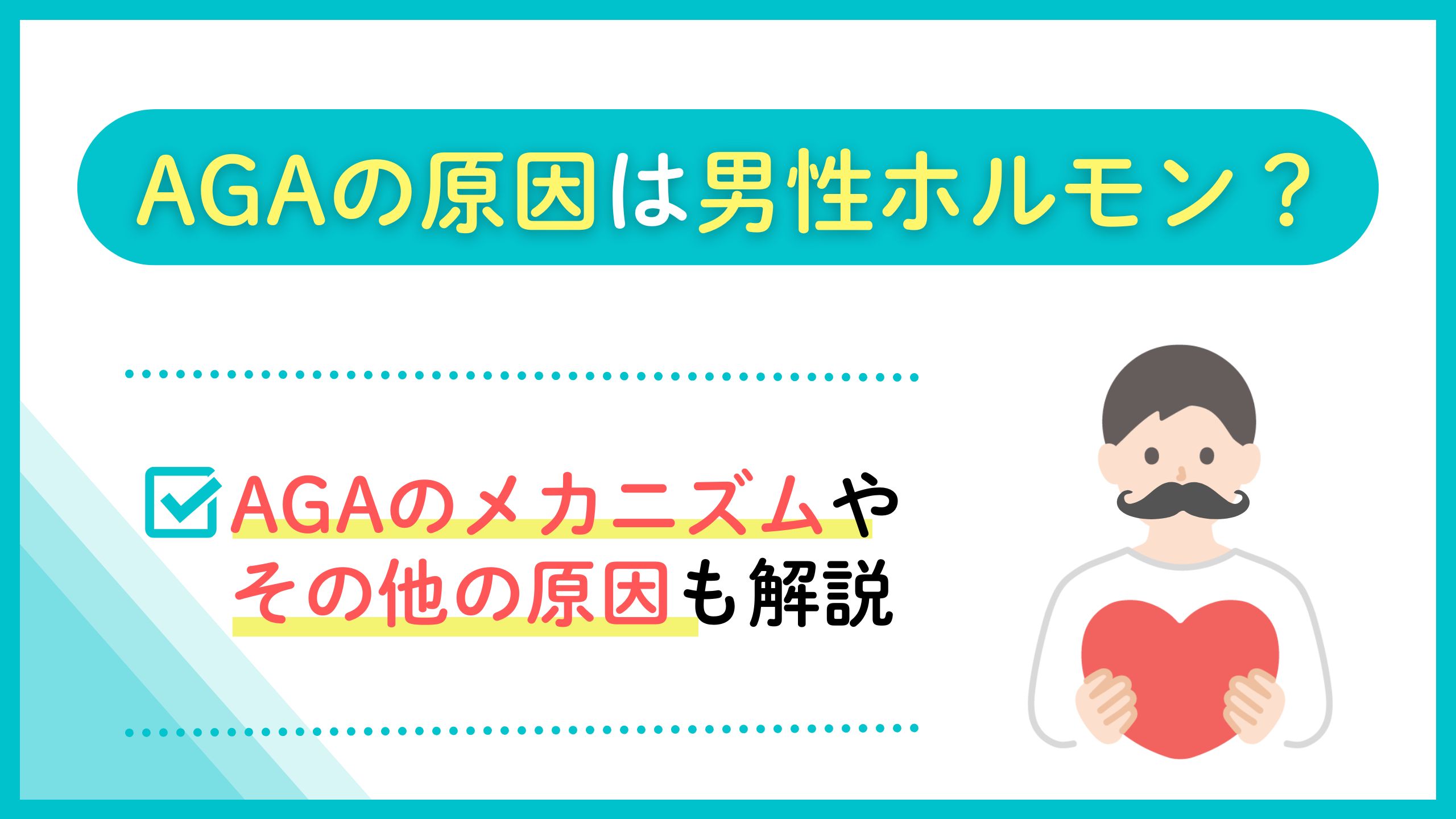AGAの原因は男性ホルモン？
