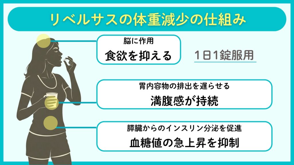 リベルサスってどんな薬?